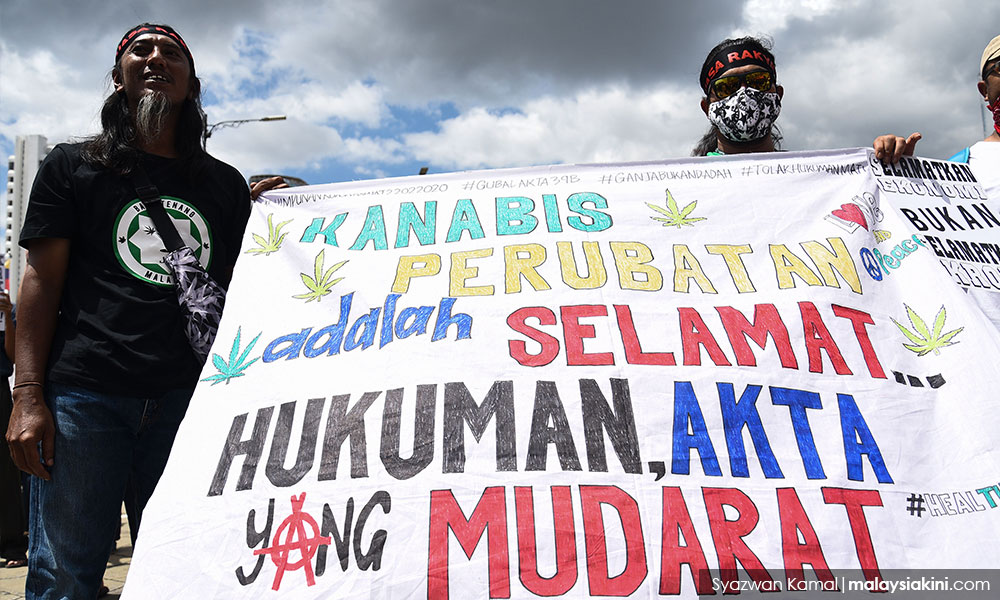 Rakyat Malaysia berjuang untuk reform ganja