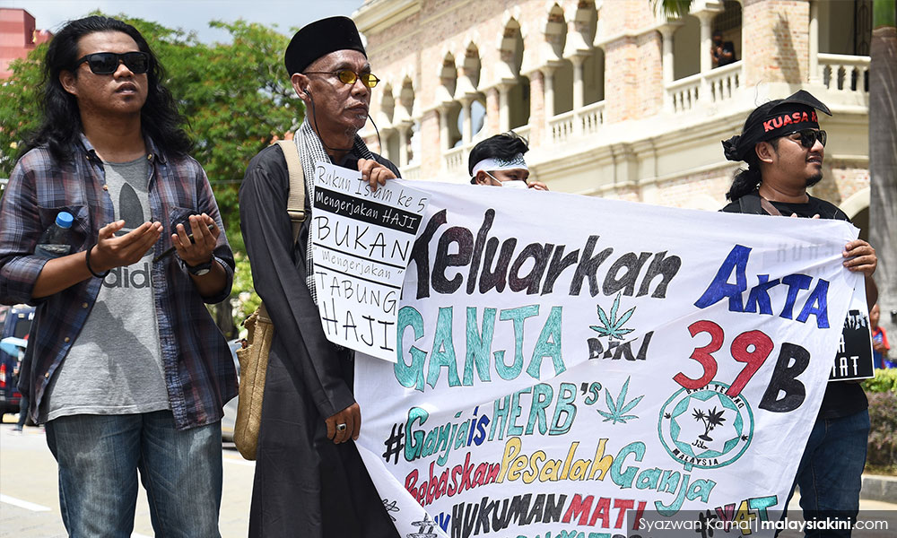 Kanabis Perubatan Malaysia